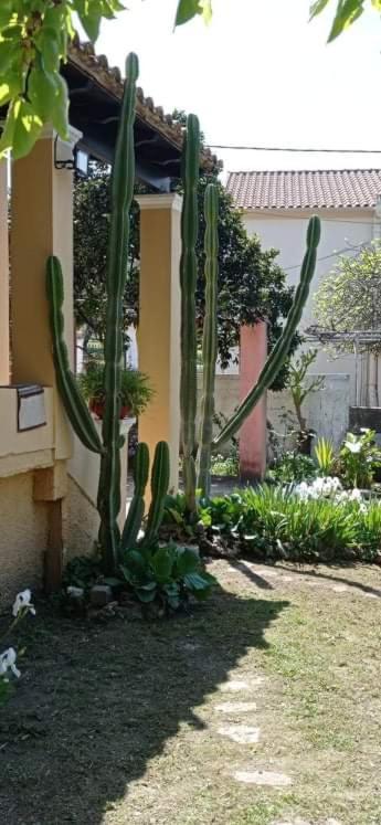 Nymfai Roula'S House 빌라 외부 사진