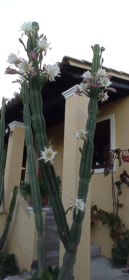 Nymfai Roula'S House 빌라 외부 사진